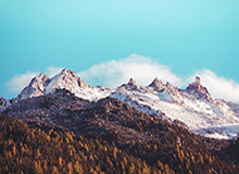 J9九游会集团-公牛三人20+吉迪三双 公牛战胜雄鹿结束11连败